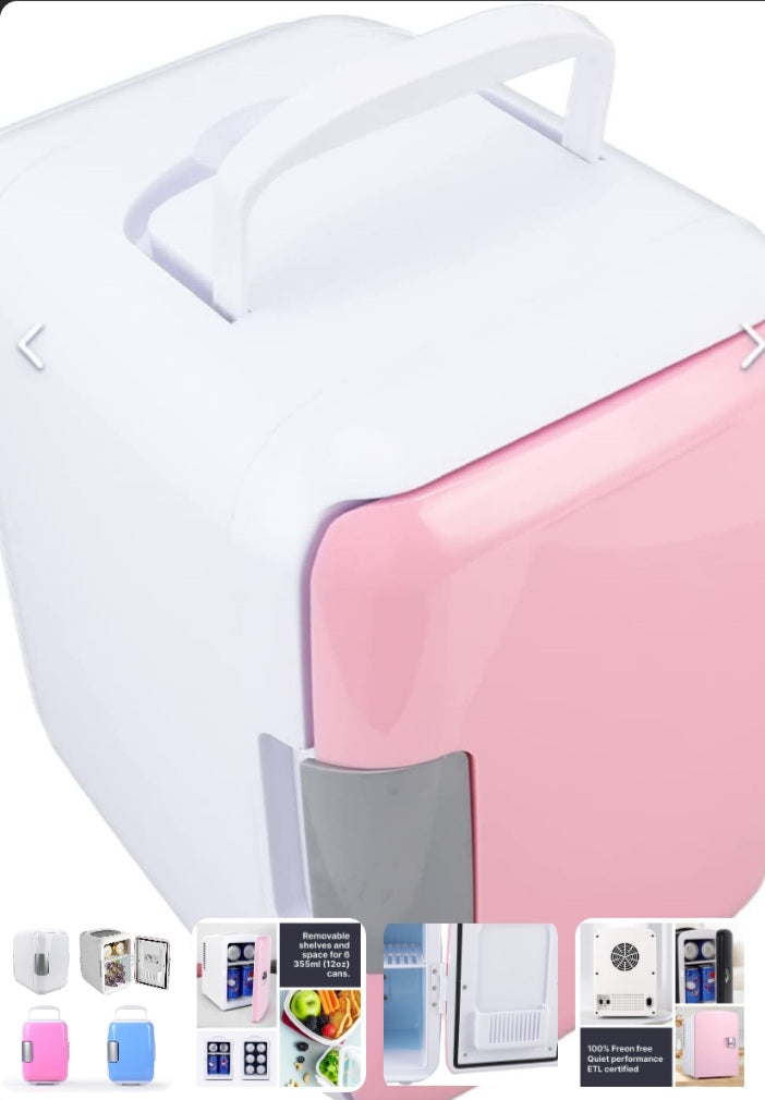 Nevera Refrigerador Pequeño Portátil 4L ID245002