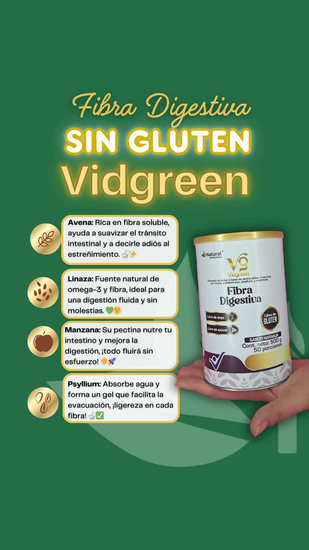 Vidgreen Fibra 500g- Libre de Gluten ID1816606